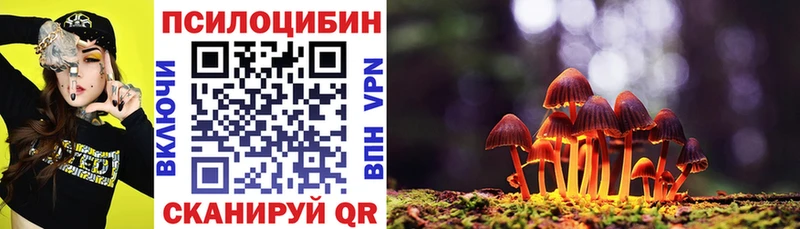 Псилоцибиновые грибы Psilocybine cubensis  Купить  Приволжск 